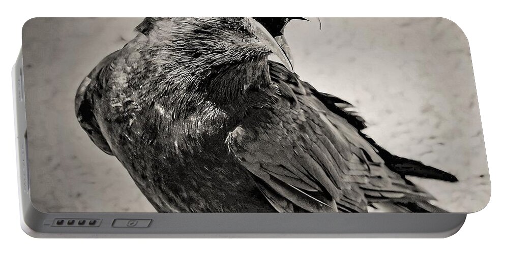 Crow Bird Black White Portable Battery Charger featuring the photograph Crow by John Linnemeyer