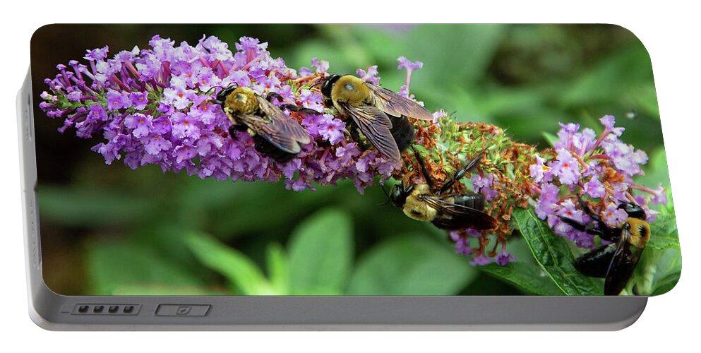 Bee Portable Battery Charger featuring the photograph Crowded Table by Gina Fitzhugh