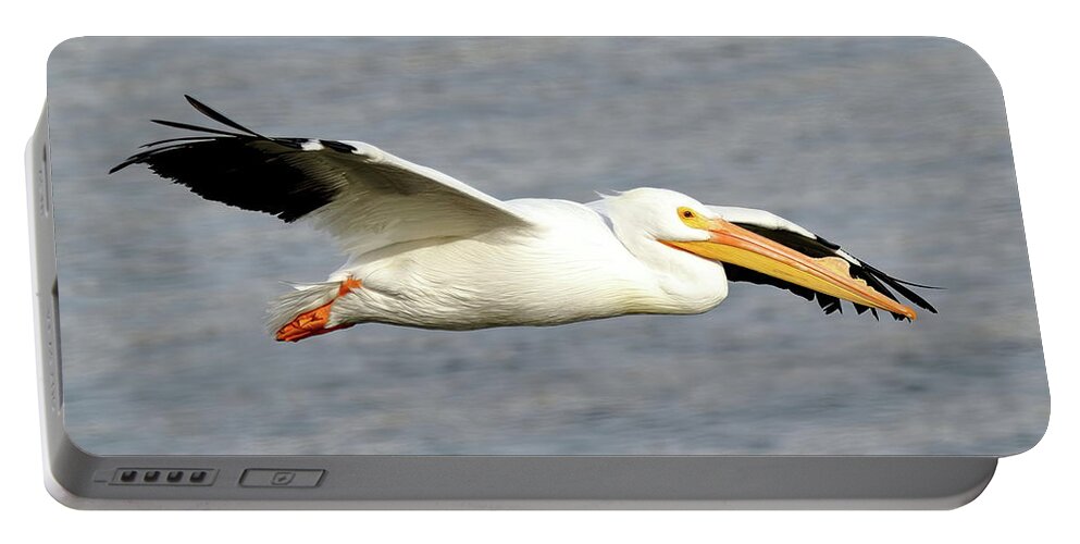 Pelicans Portable Battery Charger featuring the photograph Cruising Along by Lens Art Photography By Larry Trager