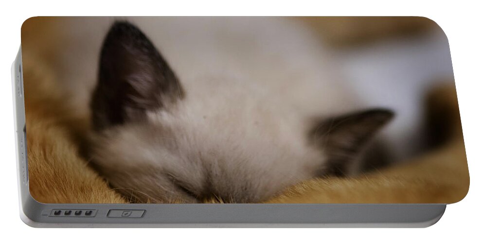 Kitten Portable Battery Charger featuring the photograph Cuddles with uncle Sunny by DArcy Evans