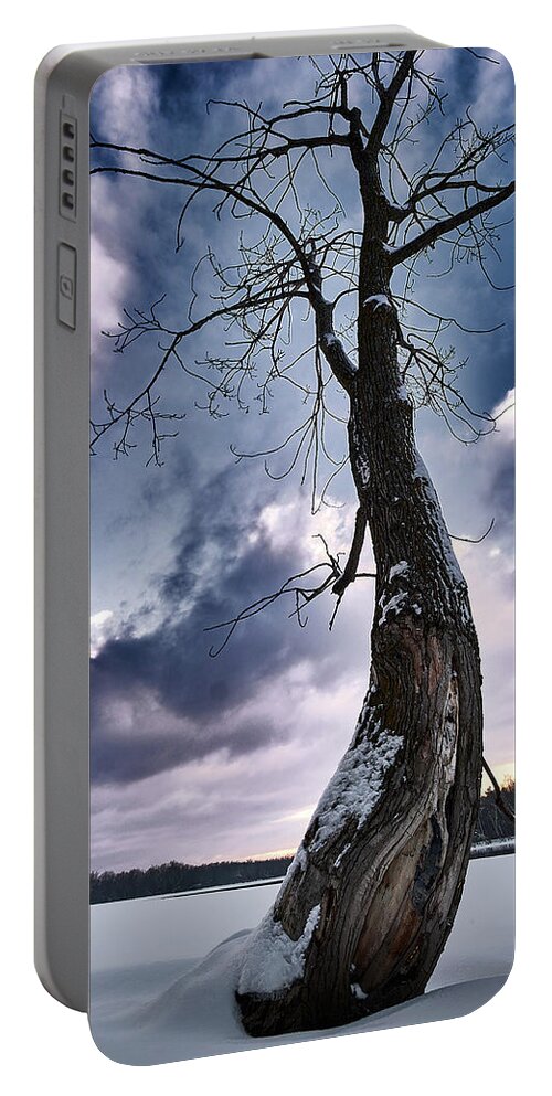 Tree Portable Battery Charger featuring the photograph The Solo Curb Tree On The River by Carl Marceau