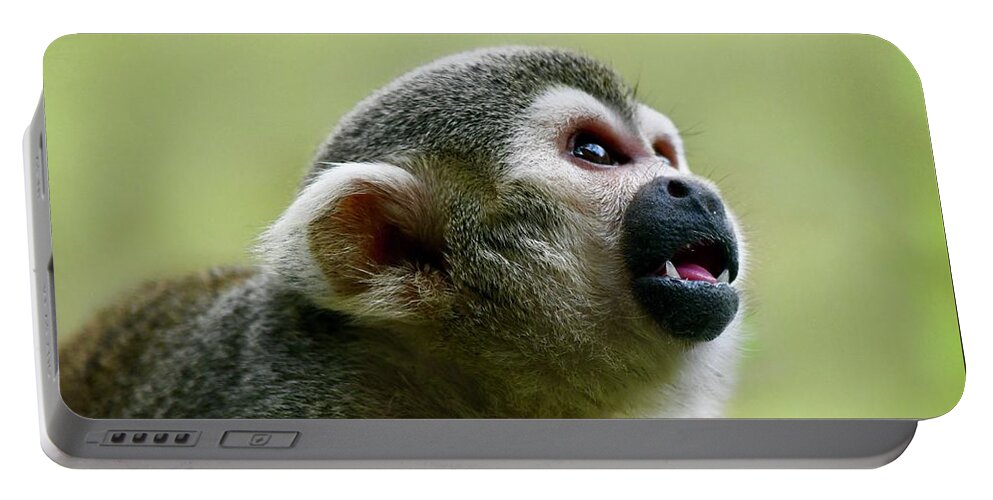 Monkey Portable Battery Charger featuring the photograph Curious Squirrel Monkey by Richard Bryce and Family
