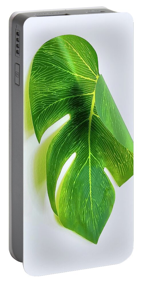 Palm Leaf Portable Battery Charger featuring the photograph Curled Paper Palm by Alida M Haslett