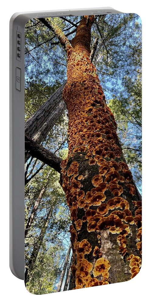 Salt Point Portable Battery Charger featuring the photograph Curtain Crust in Salt Point by Perry Hoffman