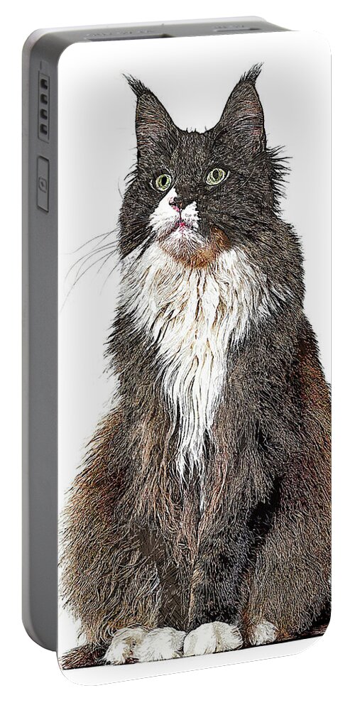 Maine Coon Portable Battery Charger featuring the painting Cute and Cool, Maine Coon Cat by Custom Pet Portrait Art Studio