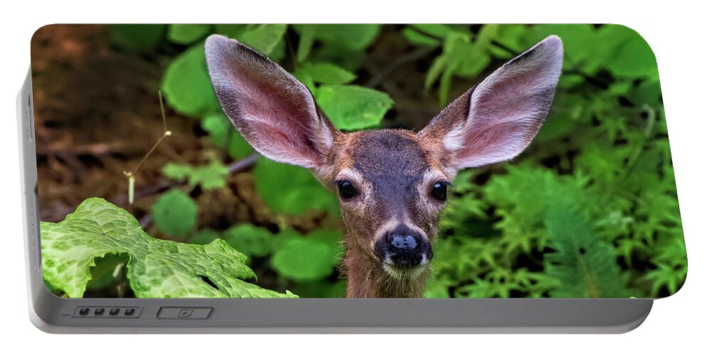 Fawn Portable Battery Charger featuring the photograph Cute Fawn Deer Browsing the Garden by Kathleen Bishop