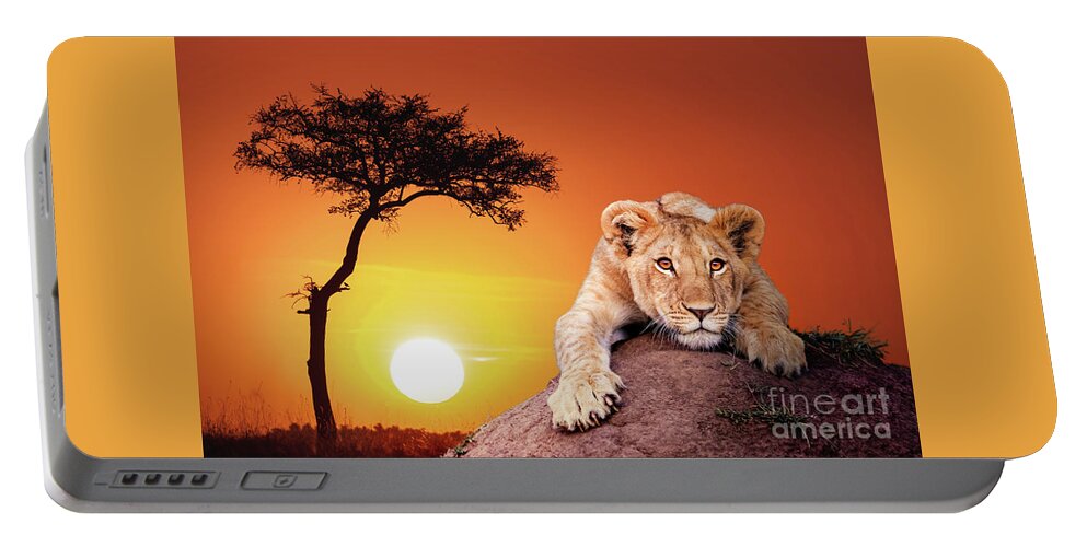 Cub Portable Battery Charger featuring the photograph Cute lion cub, panthera leo, crouching on a soil mound at sunse by Jane Rix