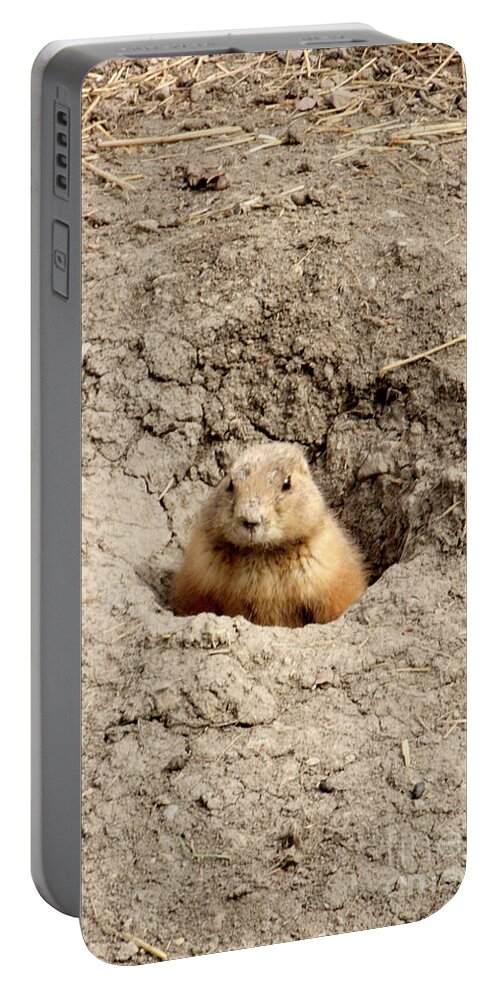 Canada Portable Battery Charger featuring the photograph Cute One by Mary Mikawoz