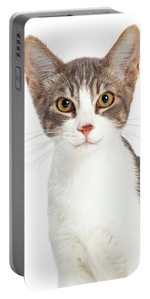 Cat Portable Battery Charger featuring the photograph Cute Smiling Young Cat Closeup by Good Focused