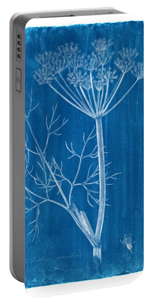 Cyanotype Photo Of A Plant - Medical Botany - 2 Portable Battery Charger featuring the photograph Cyanotype Photo of a plant - medical botany - 2 by Celestial Images