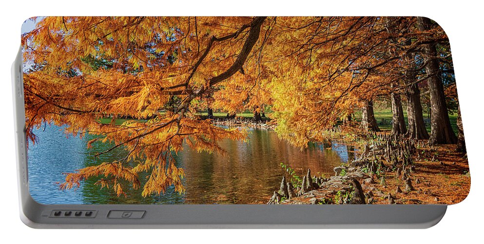 Cypress Trees Portable Battery Charger featuring the photograph Cypress Trees at Forest Park St Louis MO GRK4558_11012020 by Greg Kluempers