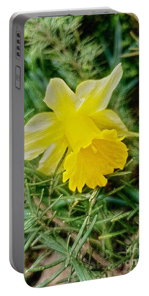 Daffodil Portable Battery Charger featuring the digital art Daffodil And Rosemary by Rachel Hannah