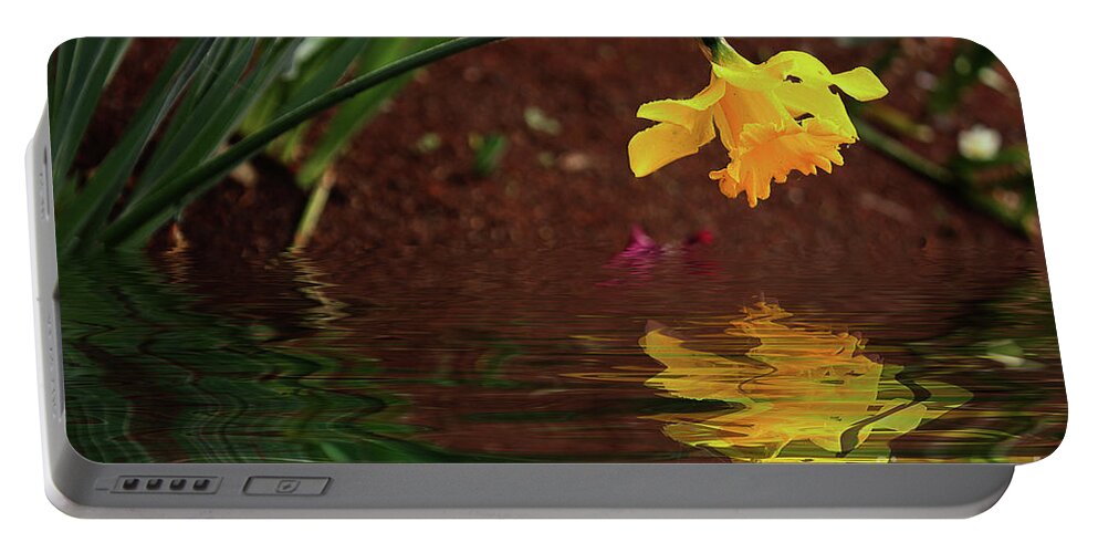 Flower Portable Battery Charger featuring the photograph Daffodil Reflection by Elaine Teague