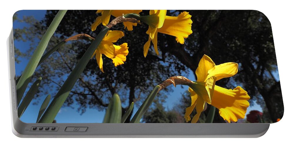  Spring Portable Battery Charger featuring the photograph Daffodil Yellow by Richard Thomas