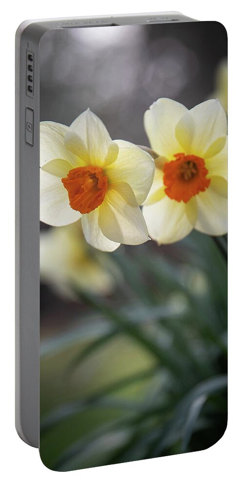 Daffodil Portable Battery Charger featuring the photograph Daffodils by Denise Kopko