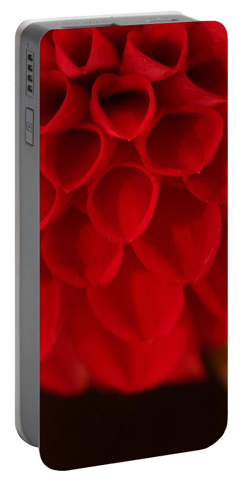 Flower Portable Battery Charger featuring the photograph Dahlia 4384 by Julie Powell