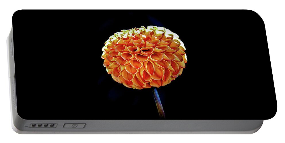 Flower Portable Battery Charger featuring the photograph Dahlia by Anamar Pictures