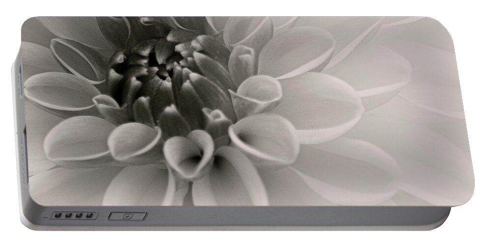 Art Portable Battery Charger featuring the photograph Dahlia V Black and White by Joan Han
