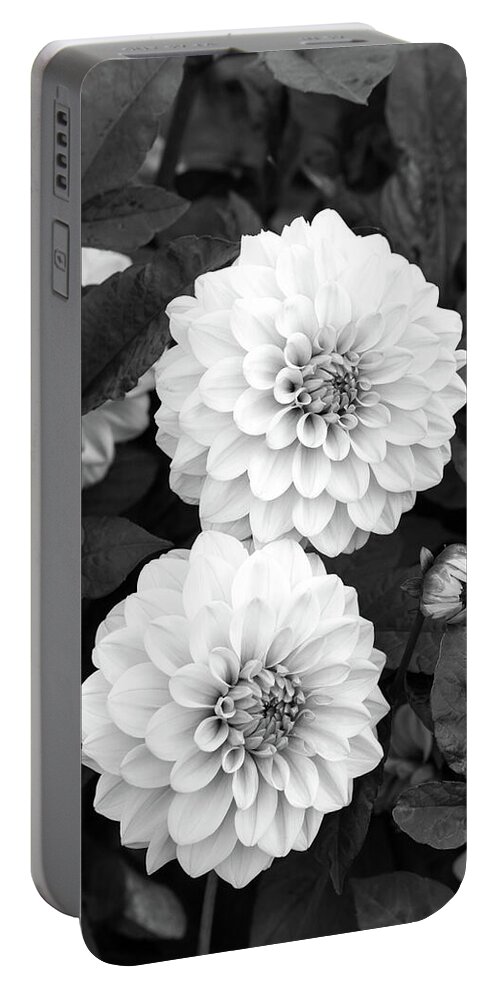 Flower Portable Battery Charger featuring the photograph Dahlias by Tanya C Smith
