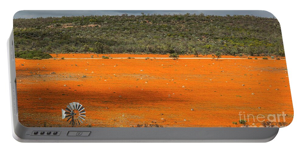Daisies Portable Battery Charger featuring the photograph Daisies blooming in Skilpad - 3 by Claudio Maioli