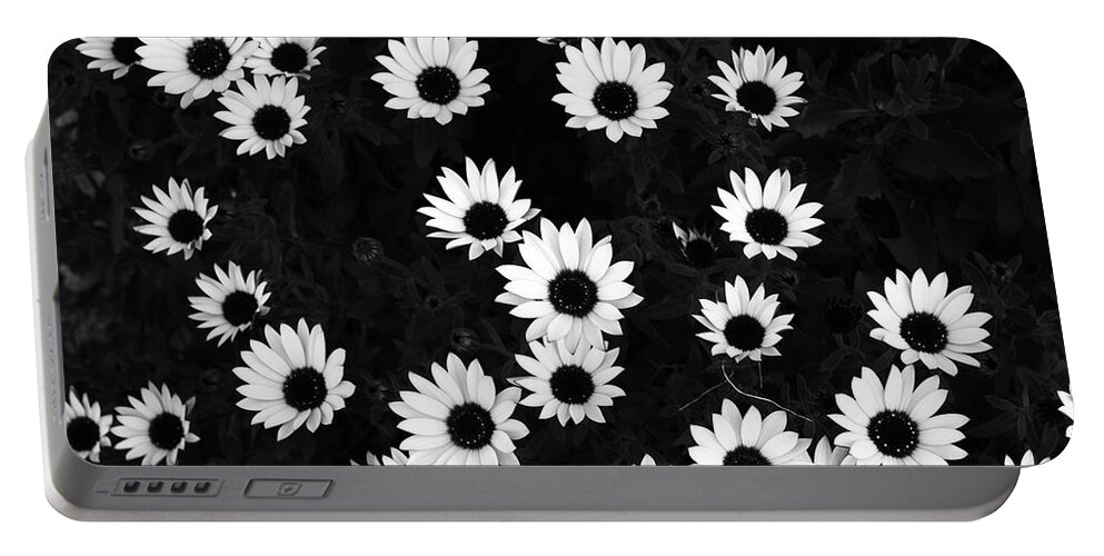 Daisies Portable Battery Charger featuring the photograph Daisies by Gary Browne