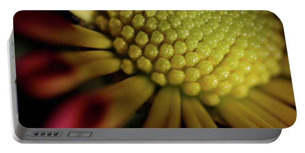 Macro Portable Battery Charger featuring the photograph Daisy 6043 by Julie Powell