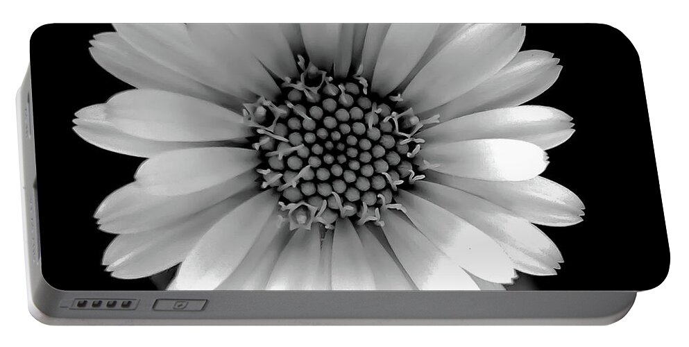 Art Portable Battery Charger featuring the photograph Daisy Black and White Square by Joan Han