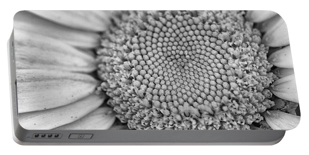 Daisy Portable Battery Charger featuring the photograph Daisy Detail in Black and White by Bob Decker