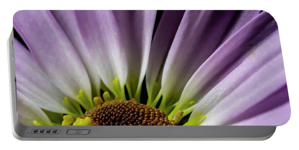 Purple Portable Battery Charger featuring the photograph Daisy Macro by Cathy Kovarik