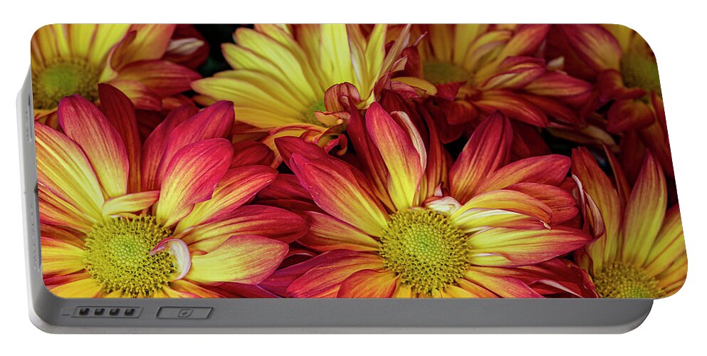 Daisy Mum Portable Battery Charger featuring the photograph Daisy Mums by Jerry Connally