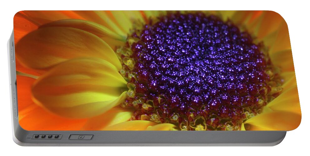 Daisy Portable Battery Charger featuring the photograph Daisy Yellow Orange by Julie Powell