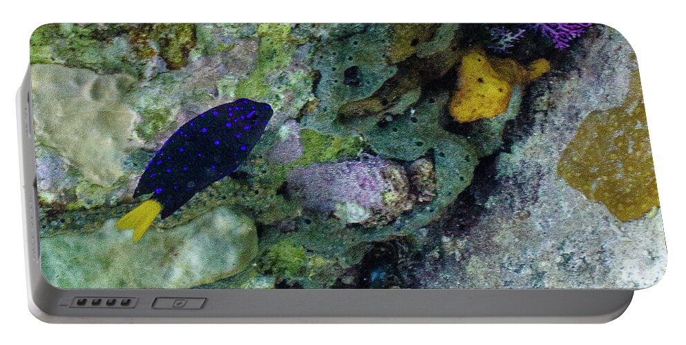 Ocean Portable Battery Charger featuring the photograph Damsel, No Distress by Lynne Browne