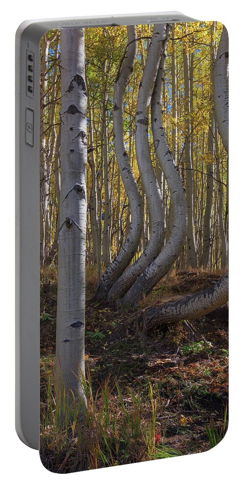 Aspen Tree Portable Battery Charger featuring the photograph Dancing Aspens III by Kristen Wilkinson