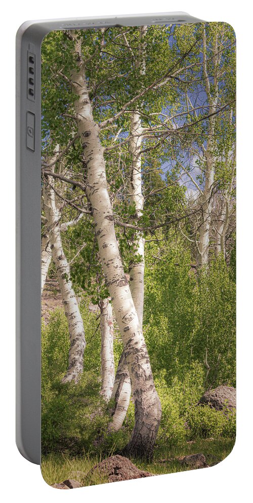Lassen Portable Battery Charger featuring the photograph Dancing Aspens by Mike Lee