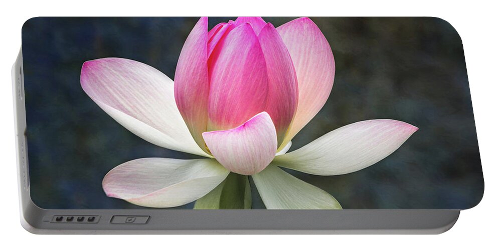  Lotus Portable Battery Charger featuring the photograph Dancing Lotus by Elvira Peretsman