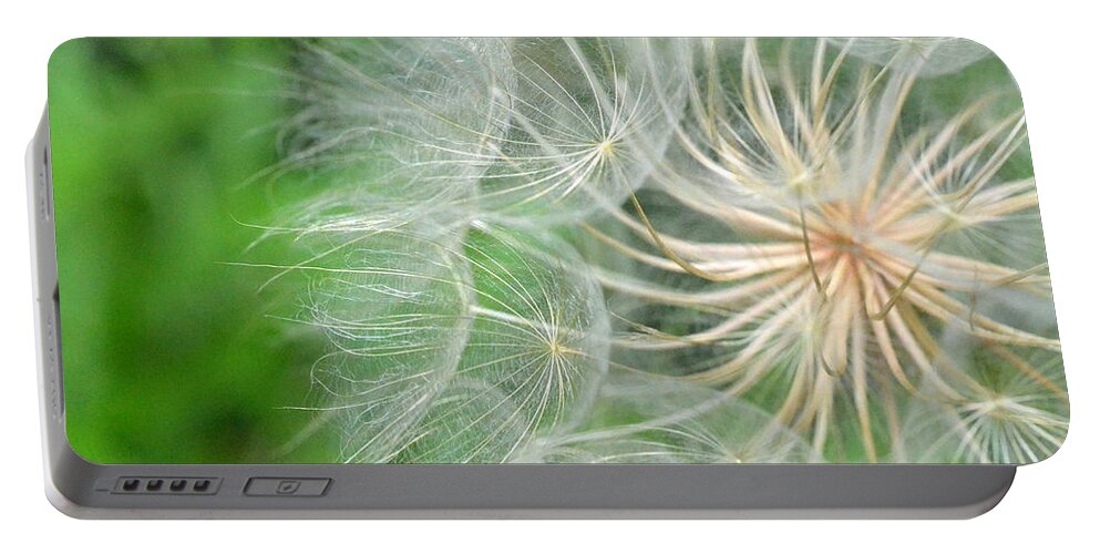 Nature Portable Battery Charger featuring the photograph Dandelion 5 by Amy Fose