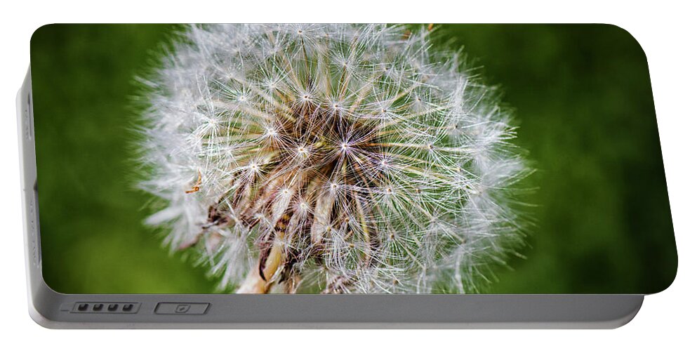 Weed Portable Battery Charger featuring the photograph Dandelion Fluff 1 by Bob Decker