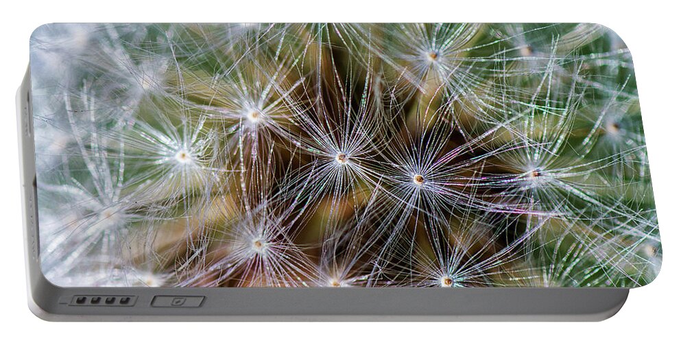 Dandelion Portable Battery Charger featuring the photograph Dandelion Fluff 2 by Bob Decker