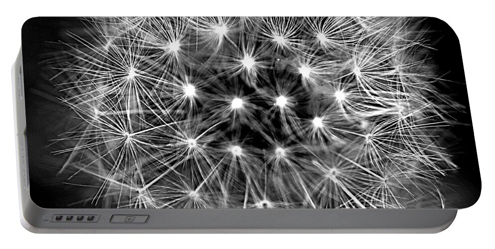 Plants Portable Battery Charger featuring the photograph Dandelion Geometry by Lennie Malvone