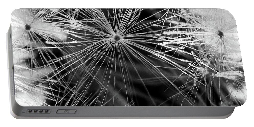 Plants Portable Battery Charger featuring the photograph Dandelions Clock by Louis Dallara