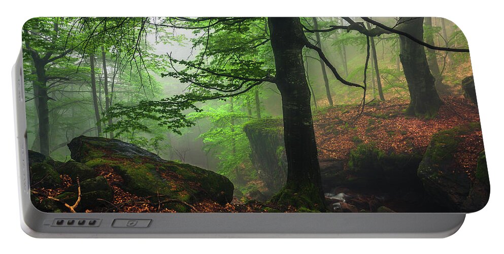 Fog Portable Battery Charger featuring the photograph Dark Forest by Evgeni Dinev