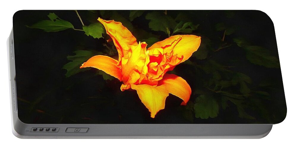 Daylily Portable Battery Charger featuring the photograph Daylily at Night by Christopher Reed