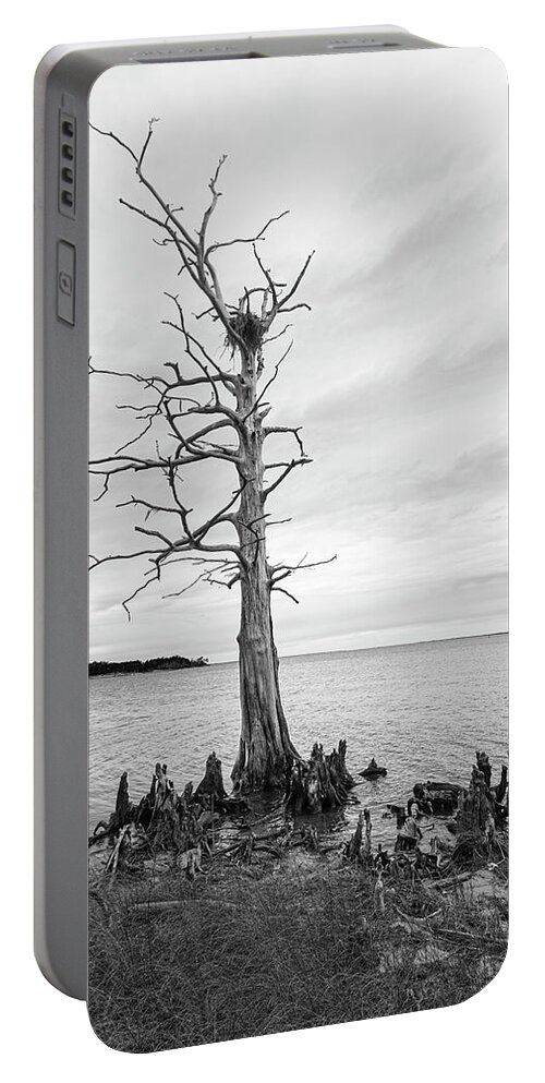 Black And White Portable Battery Charger featuring the photograph Dead Bald Cypress with Osprey Nest on the Neuse River by Bob Decker