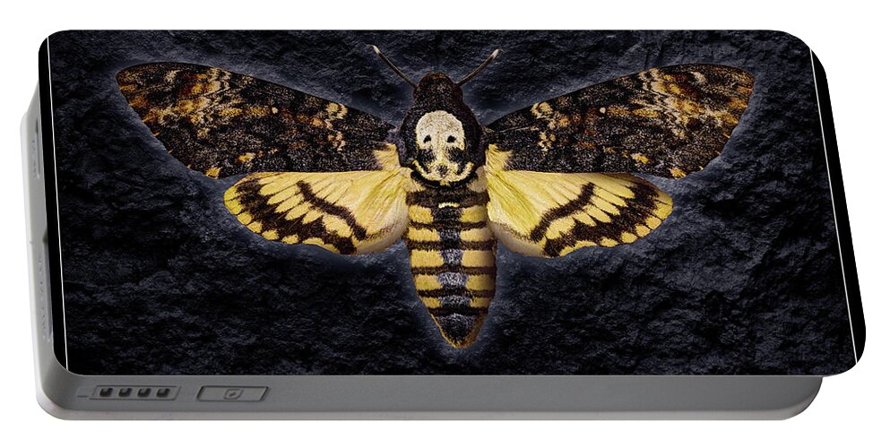 Death's-head Hawkmoth Portable Battery Charger featuring the photograph Deaths Head Hawk Moth Framed Version by Weston Westmoreland