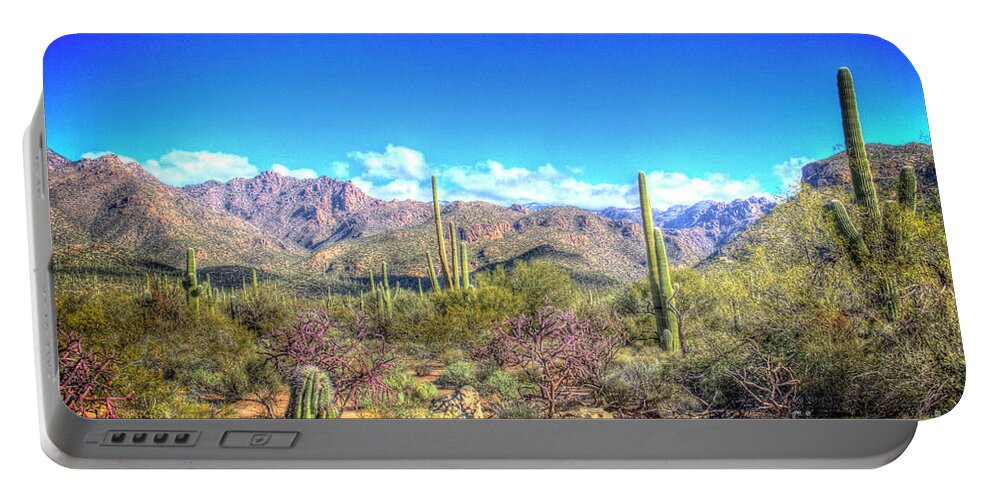 Desert Portable Battery Charger featuring the photograph December in the Desert by Bob Hislop