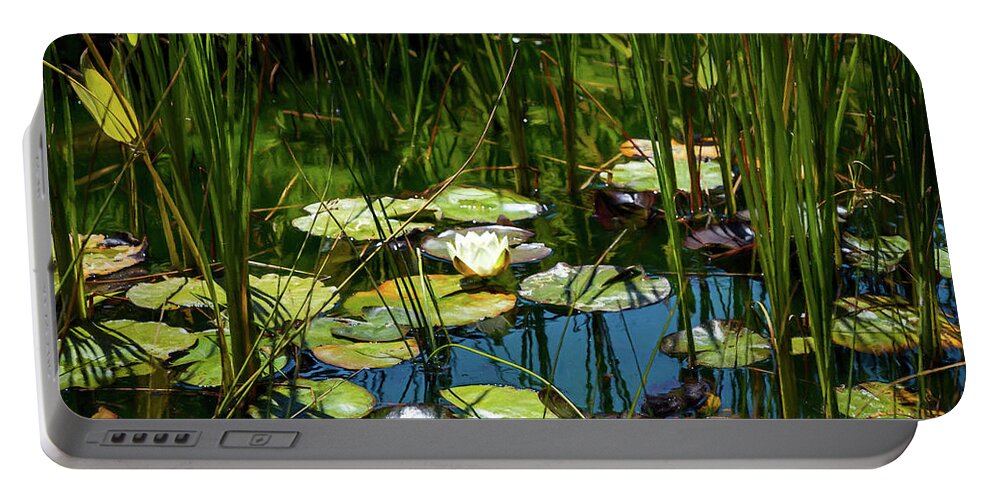 Water Lily Portable Battery Charger featuring the photograph Deep in the Lily Pond by Bonnie Follett