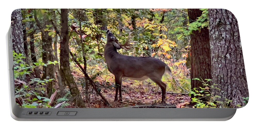 Deer In The Woods Portable Battery Charger featuring the photograph Deer In The Woods by Meta Gatschenberger