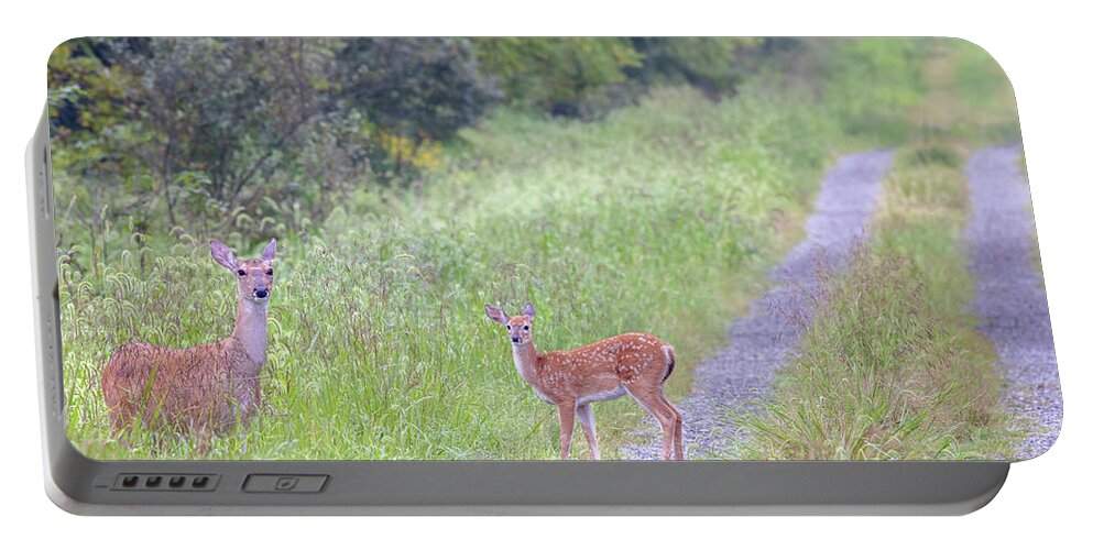 Whitetail Deer Portable Battery Charger featuring the photograph Deer on a Country Lane by Susan Rissi Tregoning