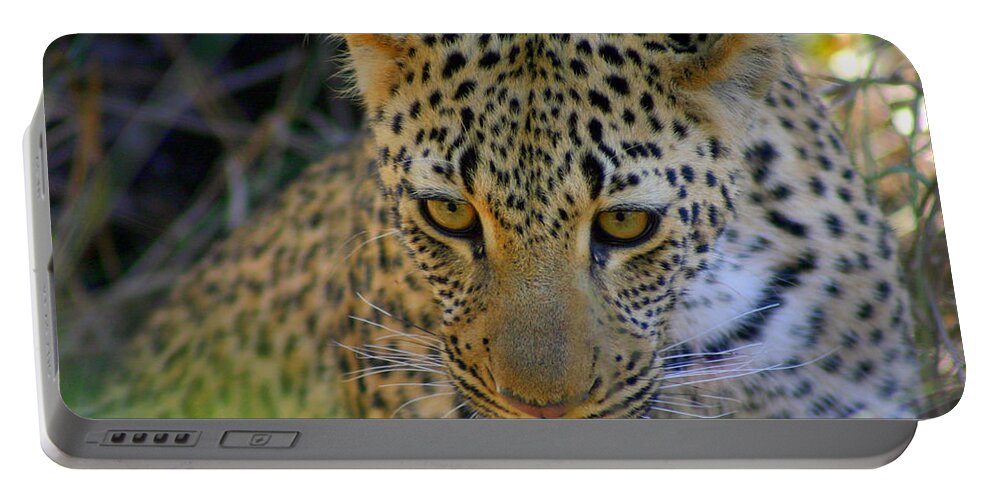 Def Leopard Portable Battery Charger featuring the photograph Def Leopard by Gene Taylor