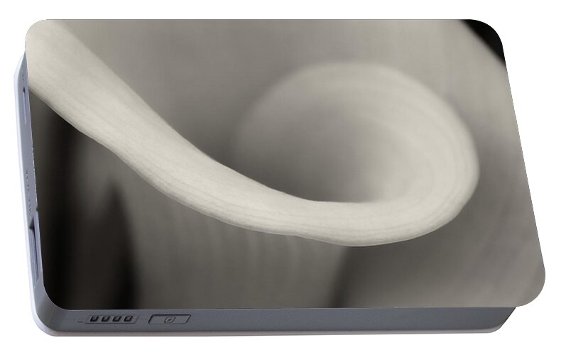 Calla Portable Battery Charger featuring the photograph Delicate Beauty by Dave Bowman
